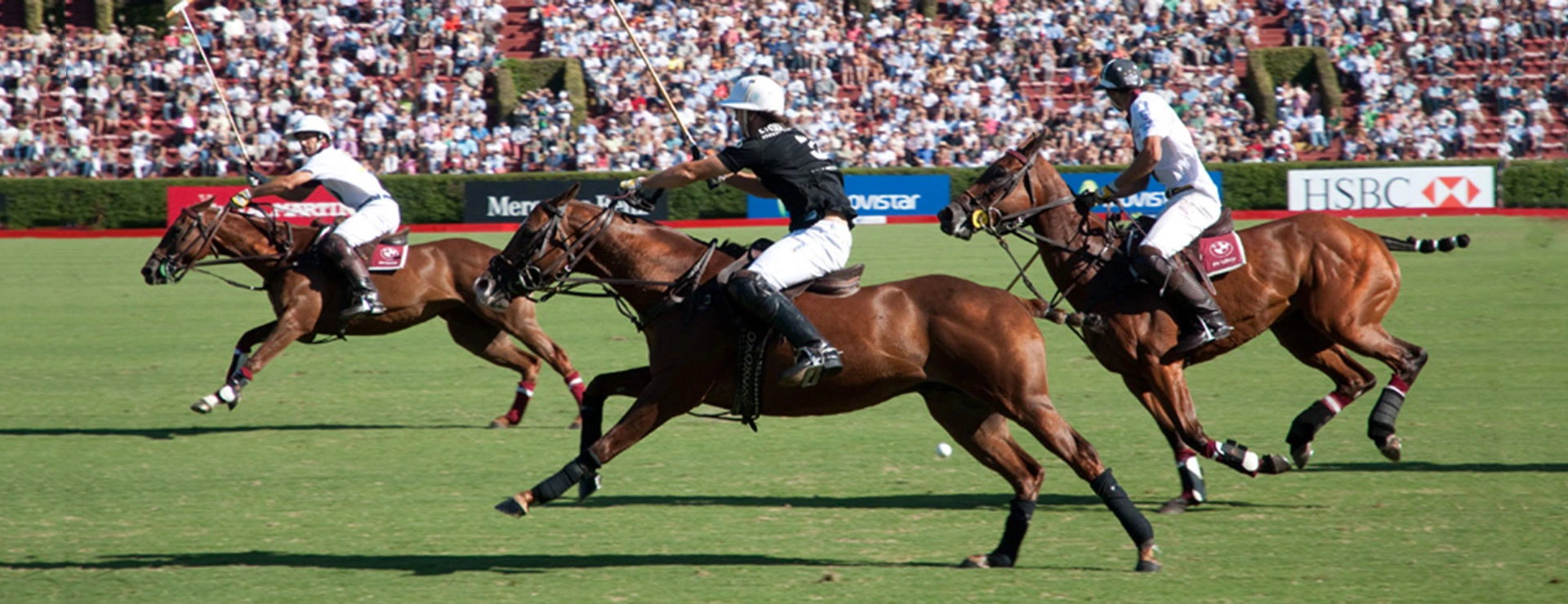 Argentine Polo Open 2026